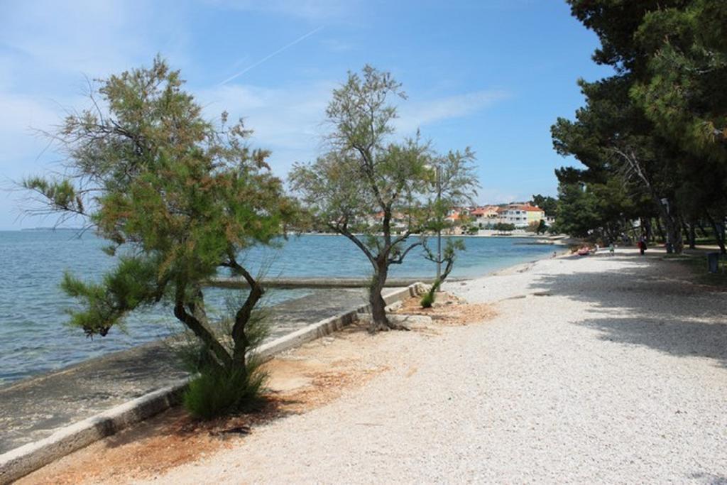Guesthouse Baric Zadar Exterior foto